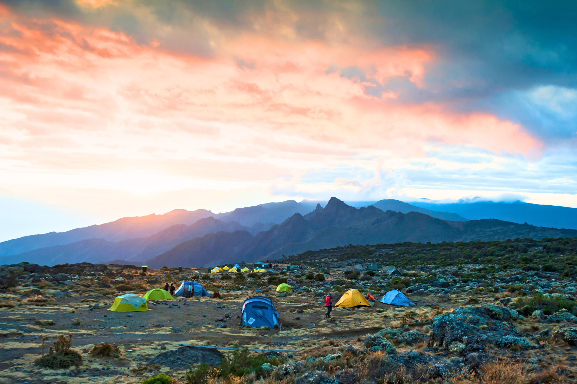 shira 2 camp.webp